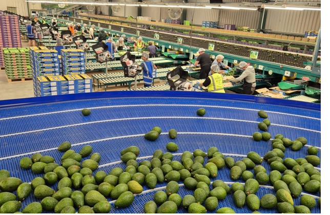 Packhouse operations